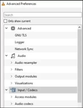 Input Codec